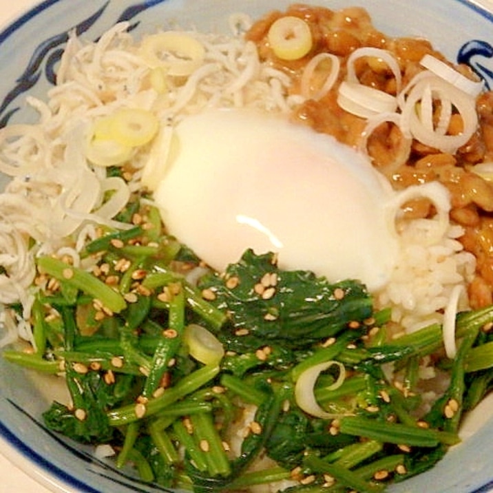 爆弾丼～納豆としらすとほうれん草～